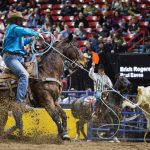 Лассо с утяжеленной нижней прядью Classic Rope Powerline Lite - в работе